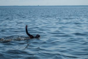 Заплыв СПб-Кронштадт - Сеть бассейнов клуба «Мэвис-1» обучение плаванию взрослых в С.-Петербурге